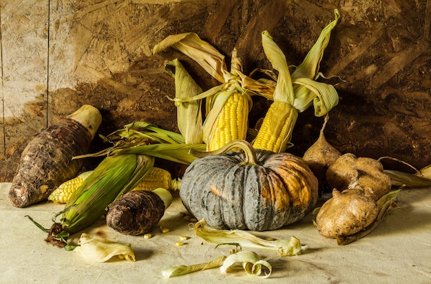 Still life with pumpkin, corn, taro, yam. 