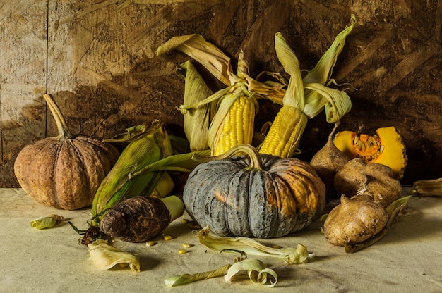 Still life with pumpkin, corn, taro, yam. 