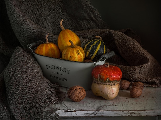 Still life with pumpkin and nuts. Vintage retro