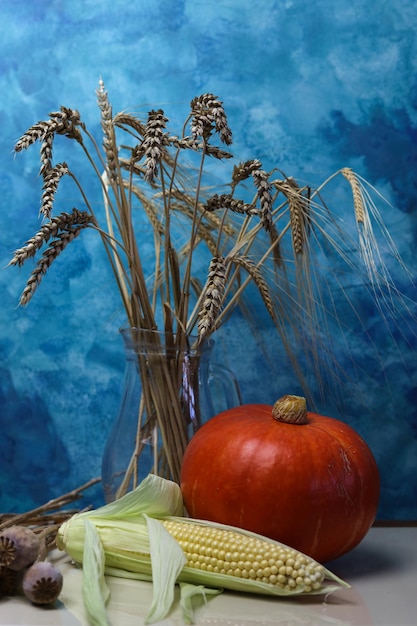 still life with pumpkin sweet corn poppies and oats