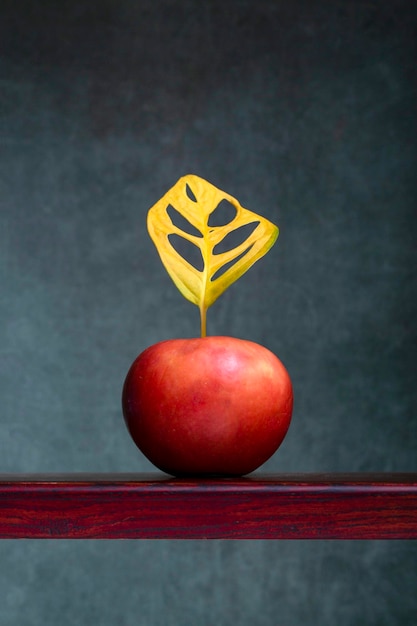 Still life with a red apple and a yellow leaf