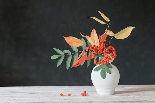 Still life with rowan berries on  dark