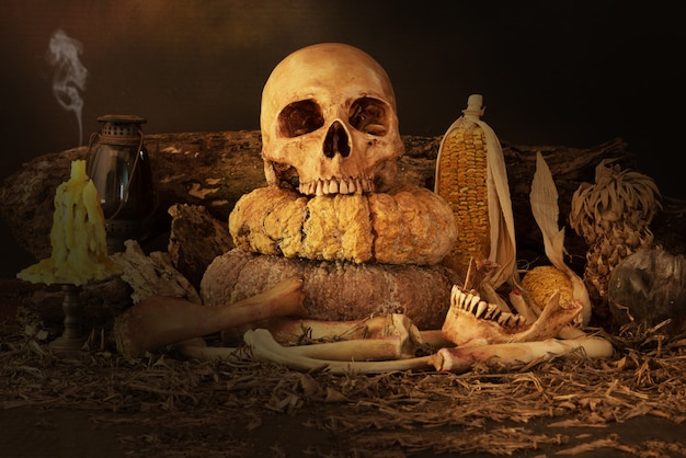 Still life with skull, dry fruit and hay