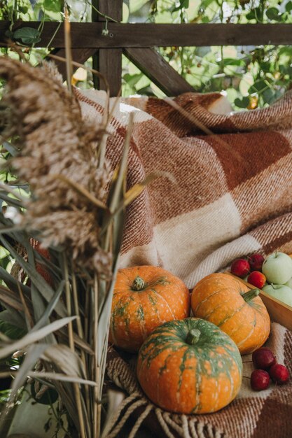 Photo still life with a variety of pumpkins and seasonal vegetables and fruits autumn season