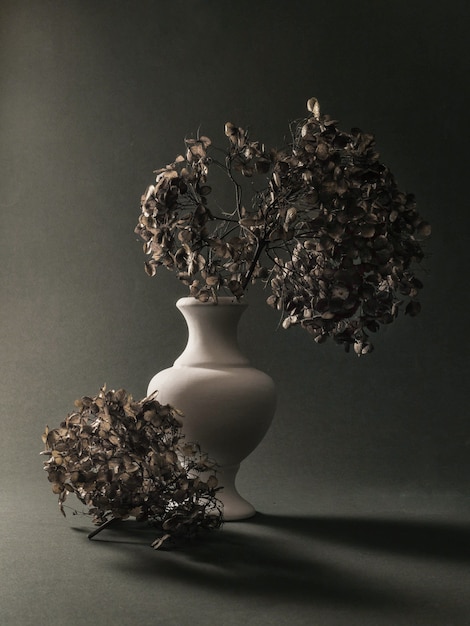 Photo stilllife with dry flowers in a vase on a grey background  fine art