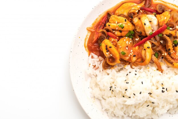 stir-fried octopus or squid and Korean spicy paste (osam bulgogi) with rice