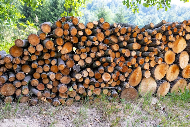 Stock of firewood for heating the house in the forest