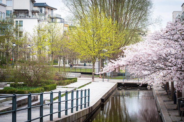 Stockholm Hammarby at spring