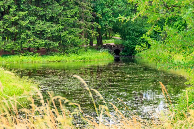 Stone arch bridge across a small river in Catherine park in Pushkin Tsarskoye Selo Russia