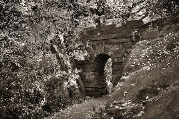 Stone Bridge in Central Park in woods, New York City midtown Manhattan