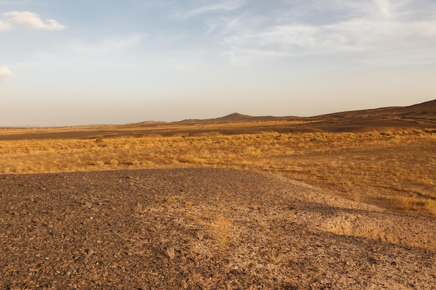 Stone desert in the Sahara. Morocco. Desert landscape. Sahara Desert