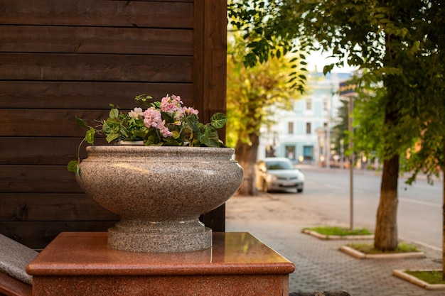 Stone flowerpot with flowers on a city street