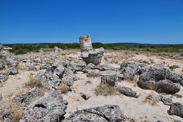 Stone Forest, Pobiti Kamani in Varan, Bulgaria