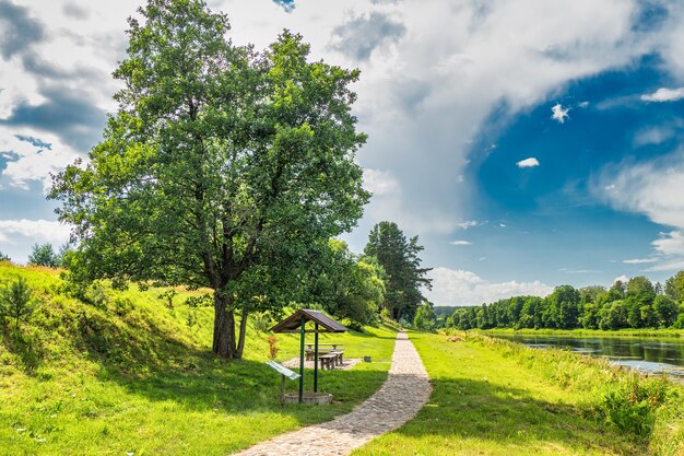 Photo stone hiking trail with beautiful river and forest landscape.