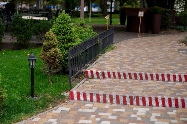 Stone path in the park with small thujas in landscape design