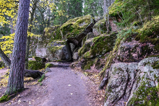 Stone path walk between rocks and trees beauty of the north walk along the trail through the forest