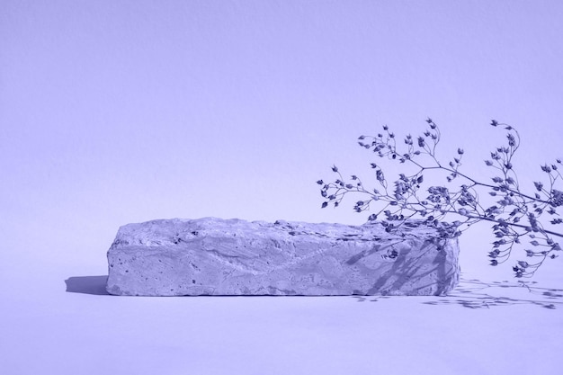 Stone Podium for promotion on violet Background Natural rock pedestal Showcase display mockup Scene