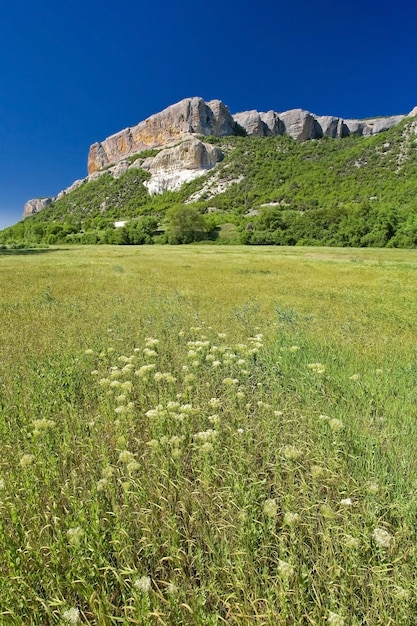 Stone rock and field