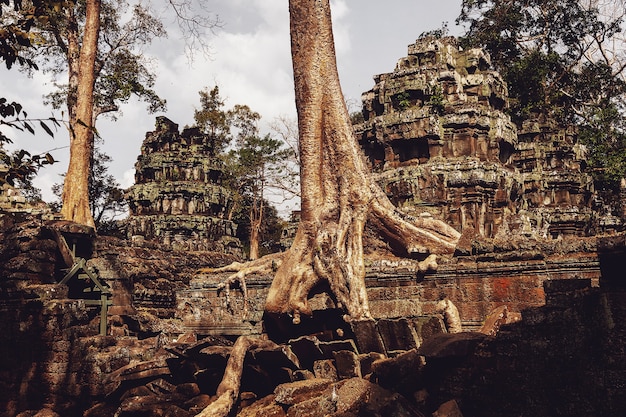 Photo stone ruins of angkor wat temple complex largest religious monument and unesco world heritage site