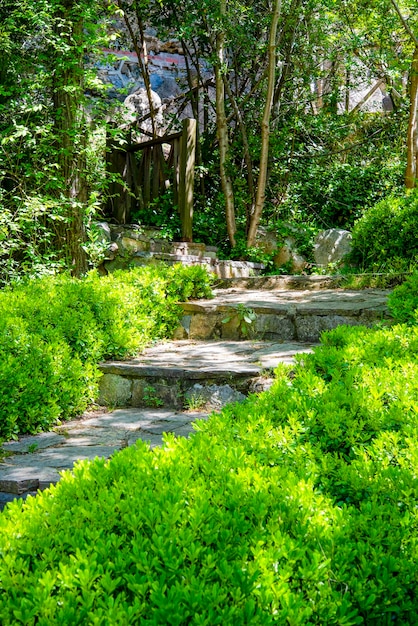 Stone staircase with herbs and flowers on the sides of vertical rise