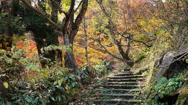 stone steps outdoor