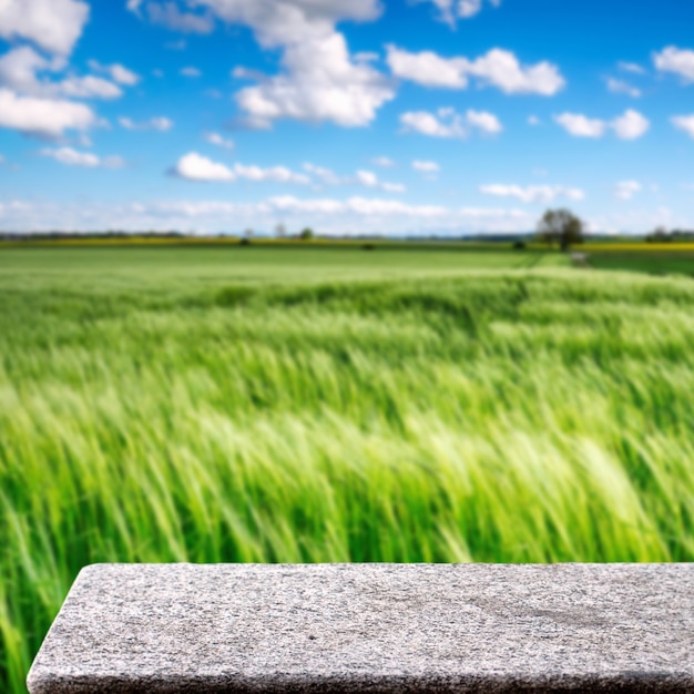 stone table in outdoor farm crop nature sunlight square display background