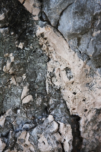 Stone texture closeup