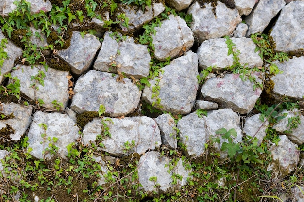 Stone texture