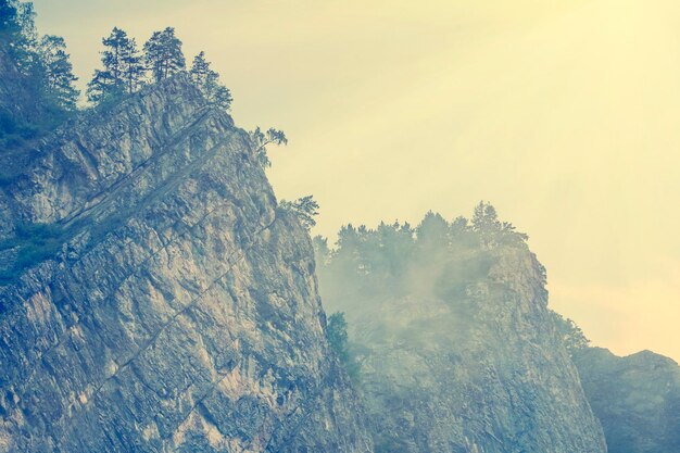 Stone top of rocks with trees