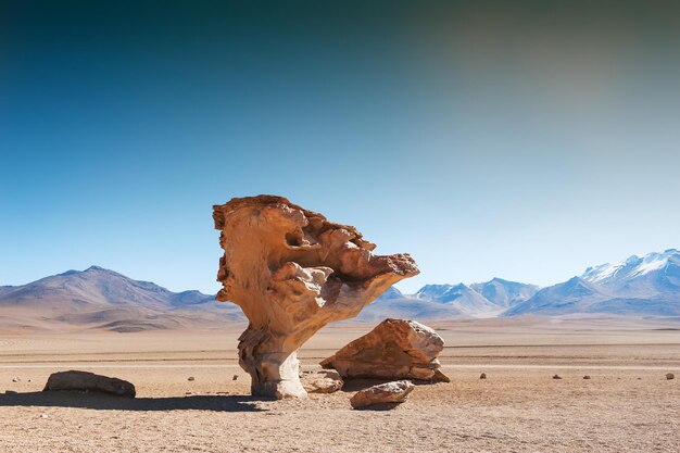 Stone tree Arbol de Piedra on the plateau Altiplano, Bolivia