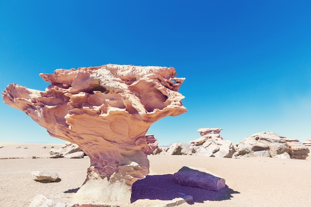 Stone tree rock formation in Bolivia of the Uyuni Salt Flat, South America