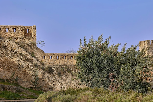 The stone wall of the ancient old castle of Xativa in Europe with trees