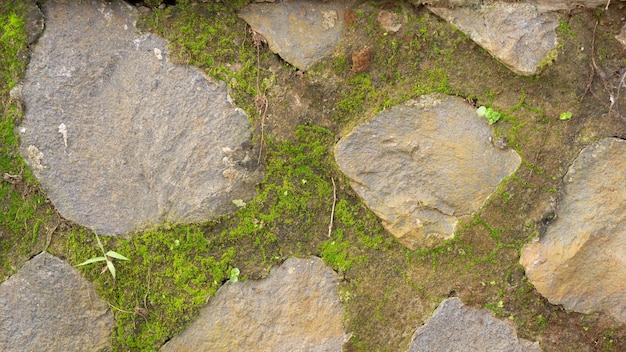 Stone Wall Cement Texture background