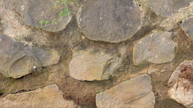 Stone Wall Cement Texture background