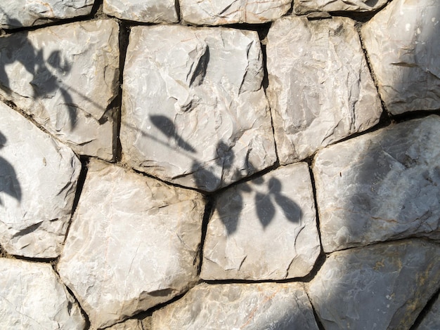 Stone wall, morning sun with shadows of branches and leaves from the side. Texture and rough grunge