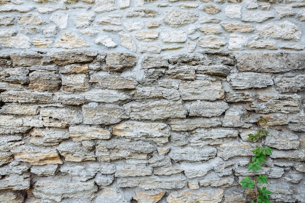 Stone wall texture background