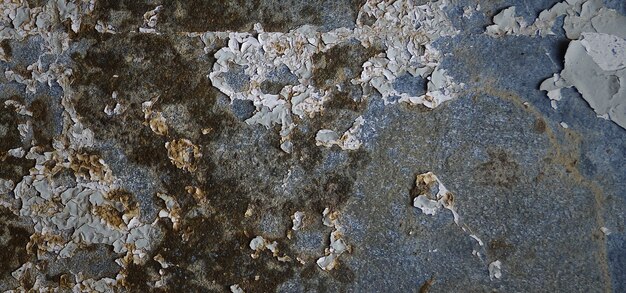 stone wall texture photography