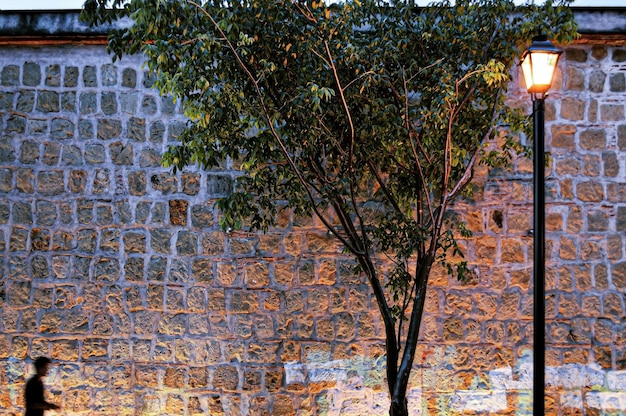 Stone wall with street lighting with a tree in front of the wall