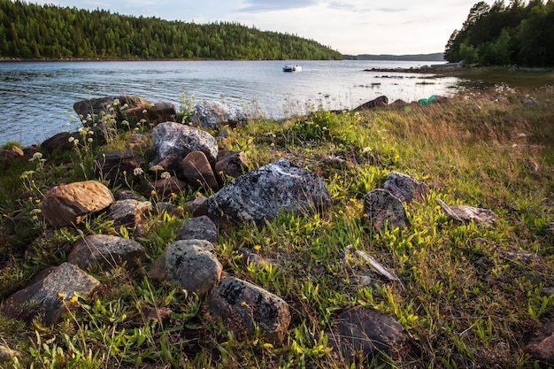 Stones and grass on the shore of the White Sea