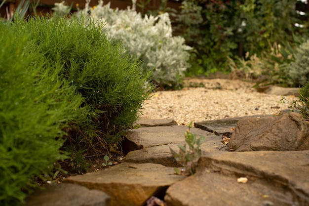 stones and greenery nature