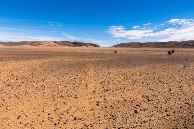 Stones in the Sahara desert