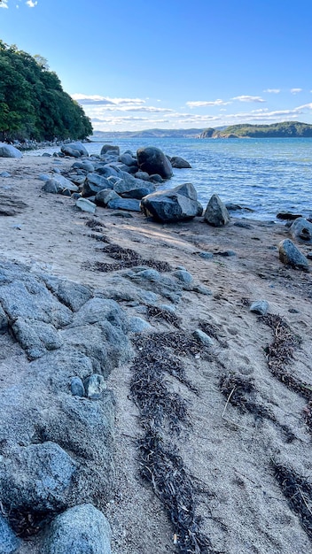 Stones on the sea shore