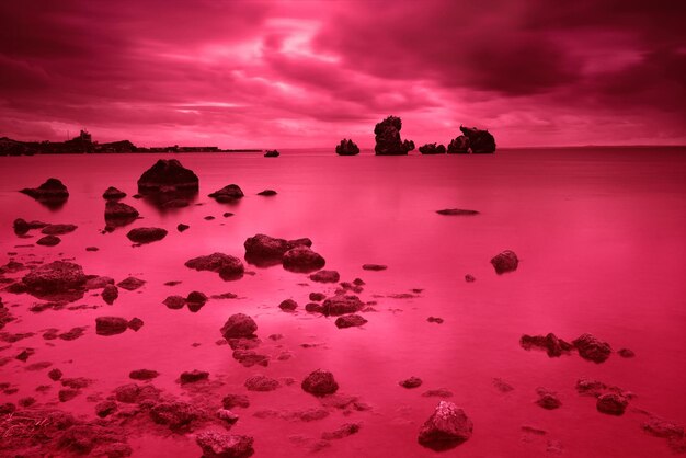 Stones at the seashore at night in viva magenta trendy color