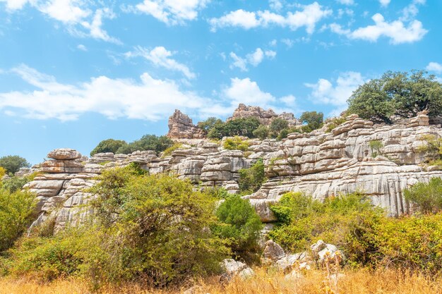 Stones with beautiful shapes in the Torcal de Antequera on the green trail Malaga Spain