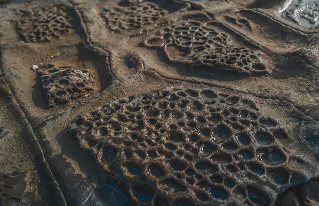 Photo stones with weird shapes