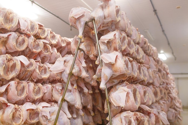 Storage on a turkey farm or poultry farm poultry carcasses in a factory