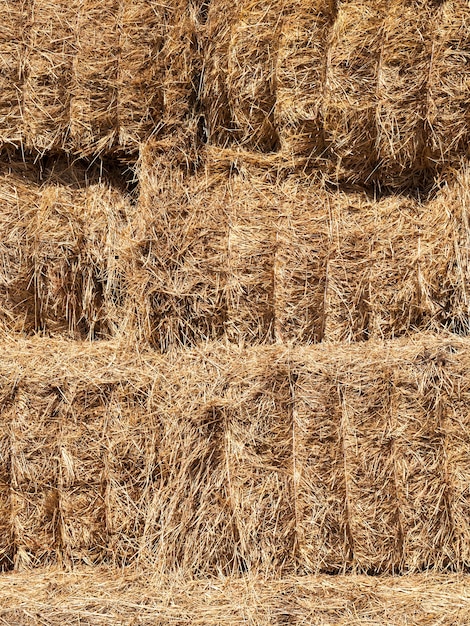 Stored in a warehouse tightly bound bales of straw cereals, on a farm