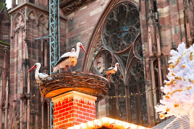 Stork nest near cathedral