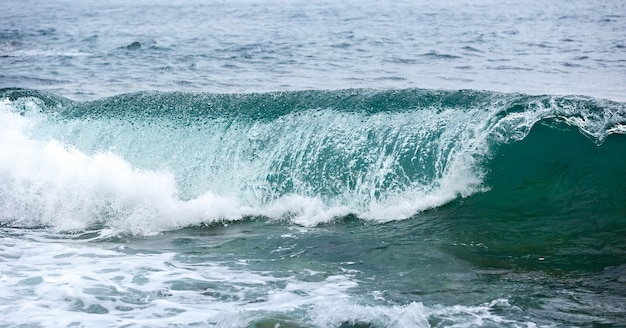 Storm wave on the coast of the Arctic. Barents sea, Russia.