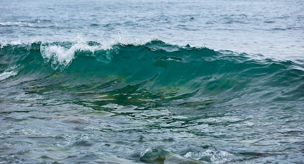 Storm wave on the coast of the Arctic. Barents sea, Russia.